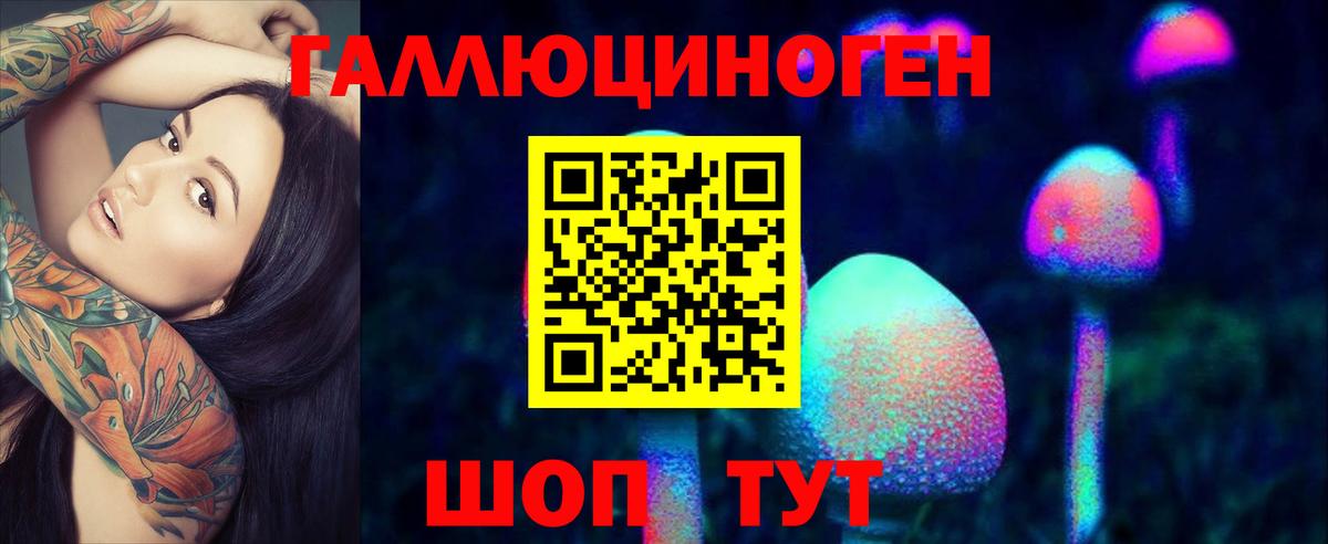 Галлюциногенные грибы Psilocybe Ливны