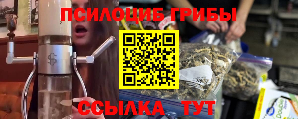 Псилоцибиновые грибы GOLDEN TEACHER  Галлюциногенные грибы GOLDEN TEACHER  Вход с VPN  Ливны 