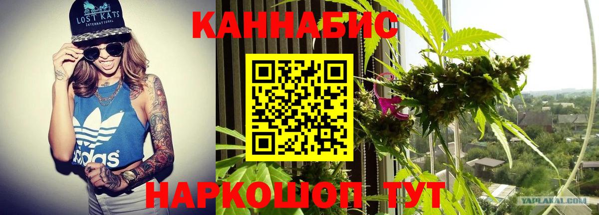 МАРИХУАНА конопля Ливны